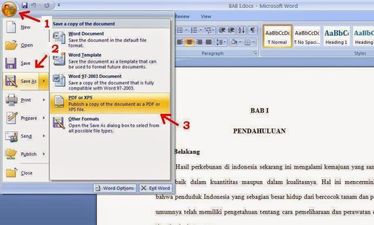 7 Rahasia Cepat Cara Mengubah dari Word 2007 ke PDF yang Jarang Diketahui Orang