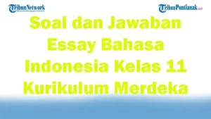 45 Soal dan Jawaban Essay Bahasa Indonesia Kelas 11 Kurikulum Merdeka