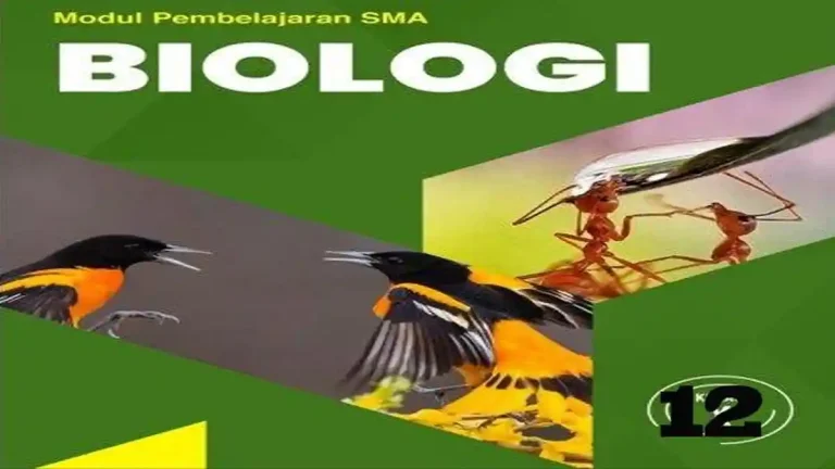 Akhirnya Tersedia 5 Contoh Soal Essay Biologi Semester 1 Kelas XII Lengkap Kunci Jawaban Akhirnya Tersedia 5 Contoh Soal Essay Biologi Semester 1 Kelas XII Lengkap Kunci Jawaban