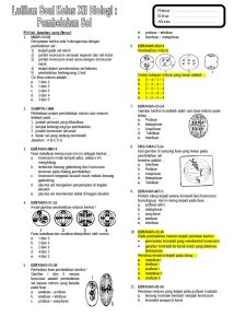 Soal Biologi Kelas 12 Dalchaebi